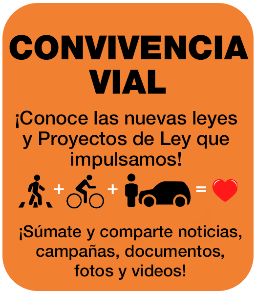 Convivencia Vial