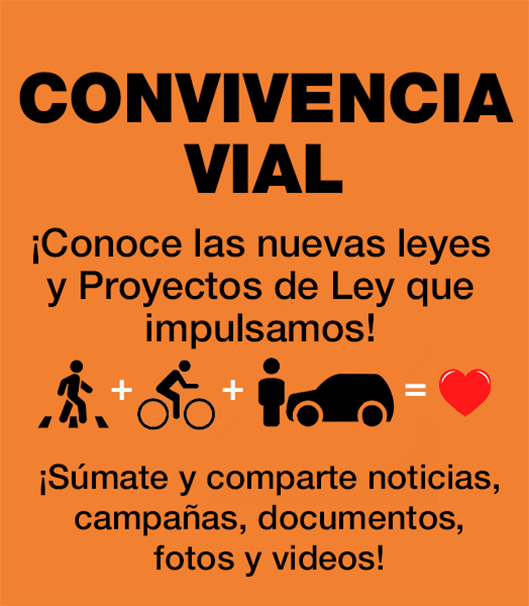 Convivencia Vial